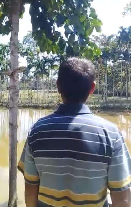 Viral sapi auto balik kandang begitu dipanggil pulang pemiliknya.