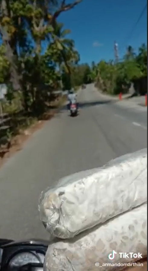 aksi dua pria selamatkan tempe