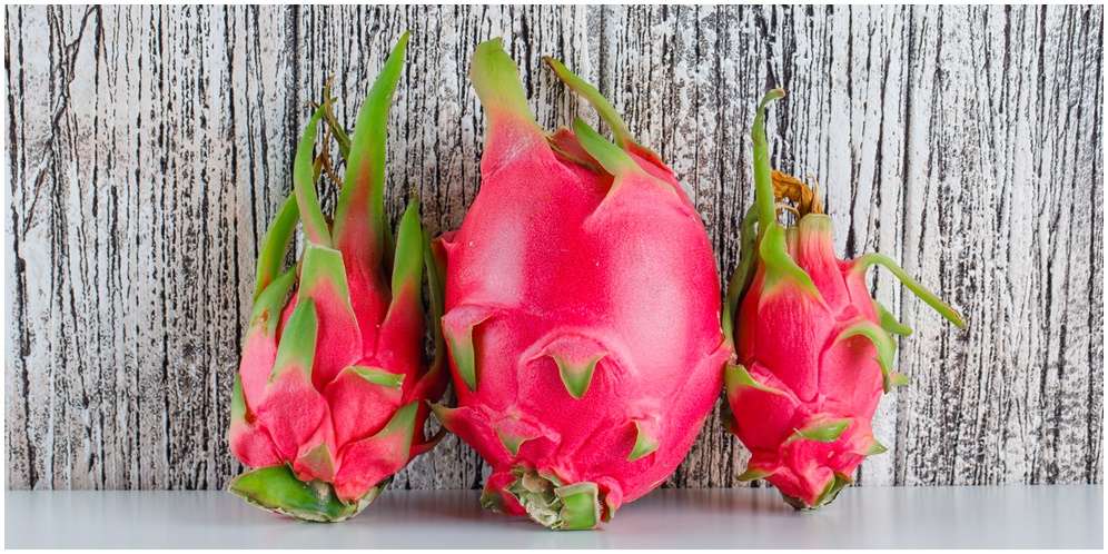 Manfaat Kulit Buah Naga untuk Kesehatan