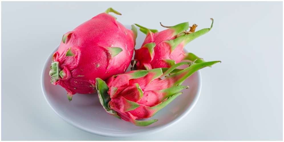 Cara Mengolah Kulit Buah Naga
