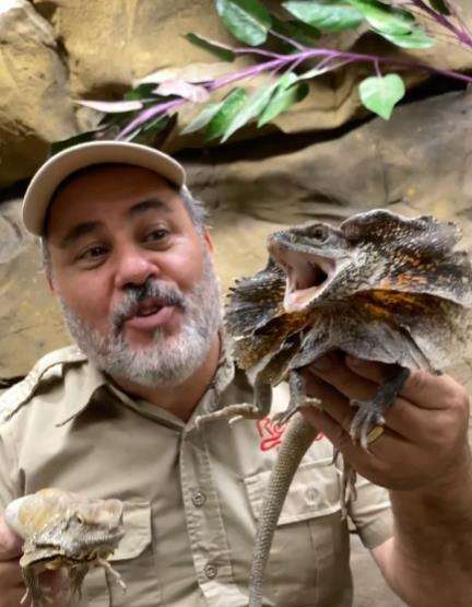 Naga berjumbai ini dikira sama dengan yang di film Jurassic Park.