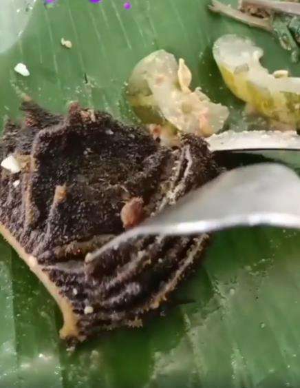 Makan nasi pecel babat, syok saat lihat babatnya.