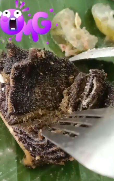 Makan nasi pecel babat, syok saat lihat babatnya.