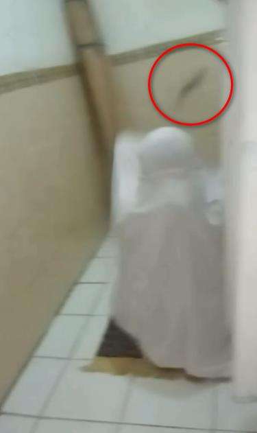 Geli dan jijik, saat sholat di kepala wanita ini ada tikus.