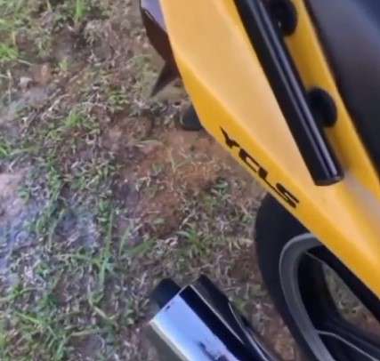 Motor kuning