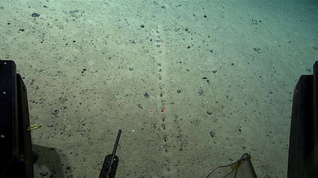 Penemuan NOAA