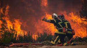Kebakaran hutan di Eropa akibat gelombang panas Kebakaran hutan di Eropa akibat gelombang panas
