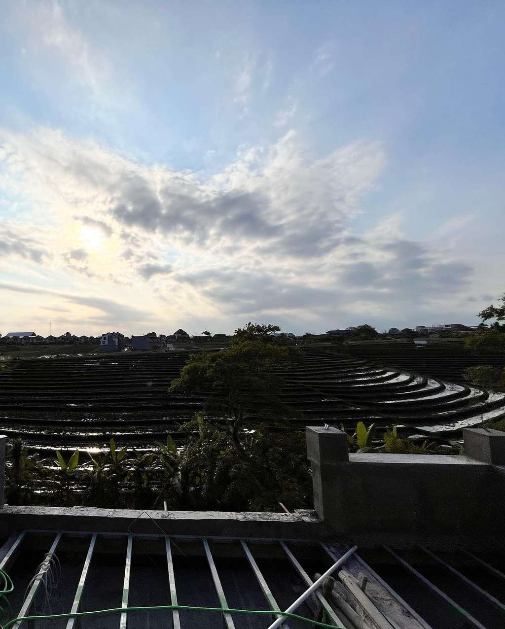 Rumah Jedar dan Vincent