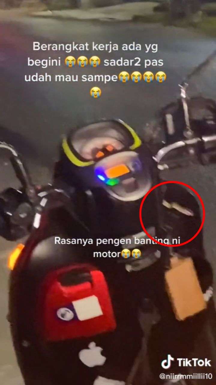 ular di motor