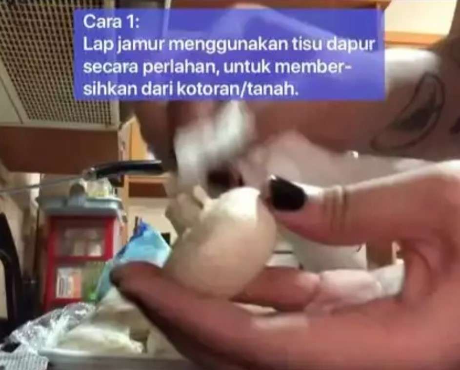 Lap jamur