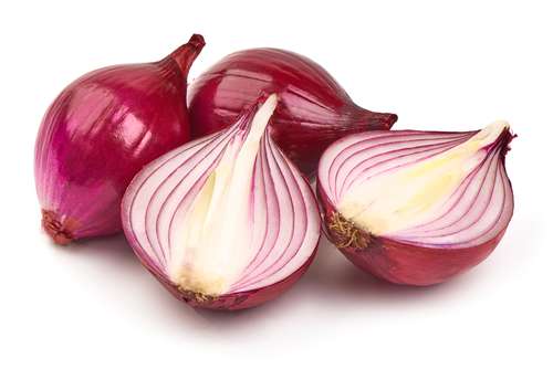 Shutterstock