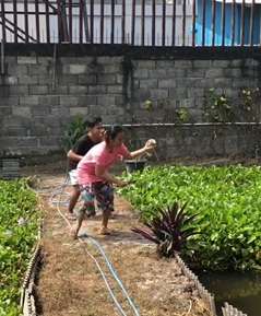 soimah