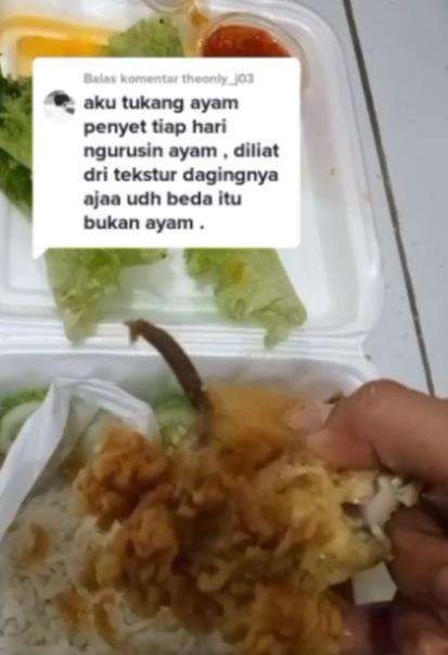 Makan nasi ayam penyet di warung kaki lima.