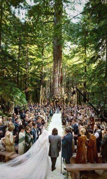 Ingin pernikahan seperti di film Twilight, realitanya malah tak terduga.