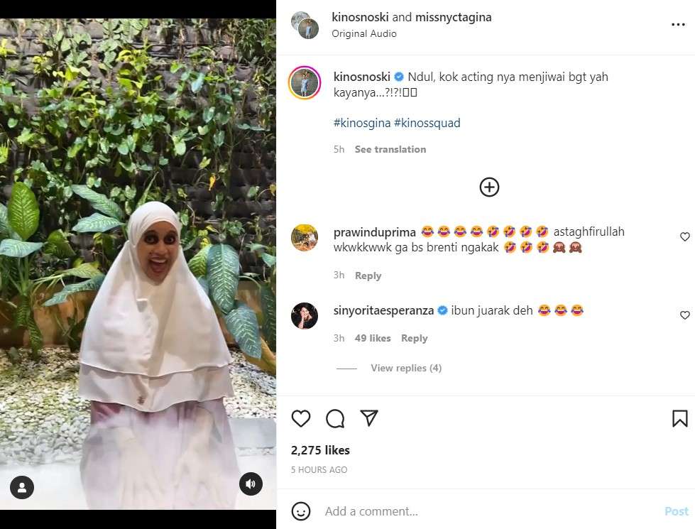 Nycta Gina Nycta Gina