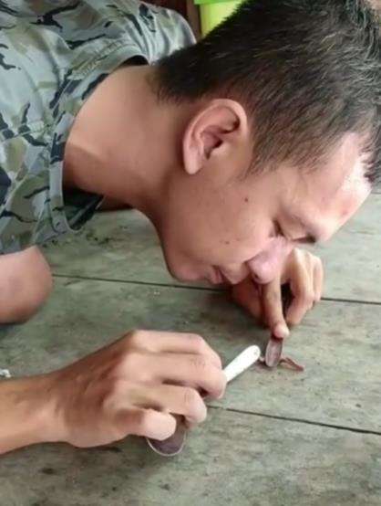 Pria hitung jumlah kaki seribu, benarkah jumlahnya sesuai namanya?