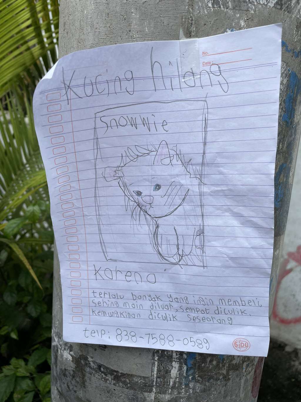 Laporan Kucing Hilang Viral di Twitter