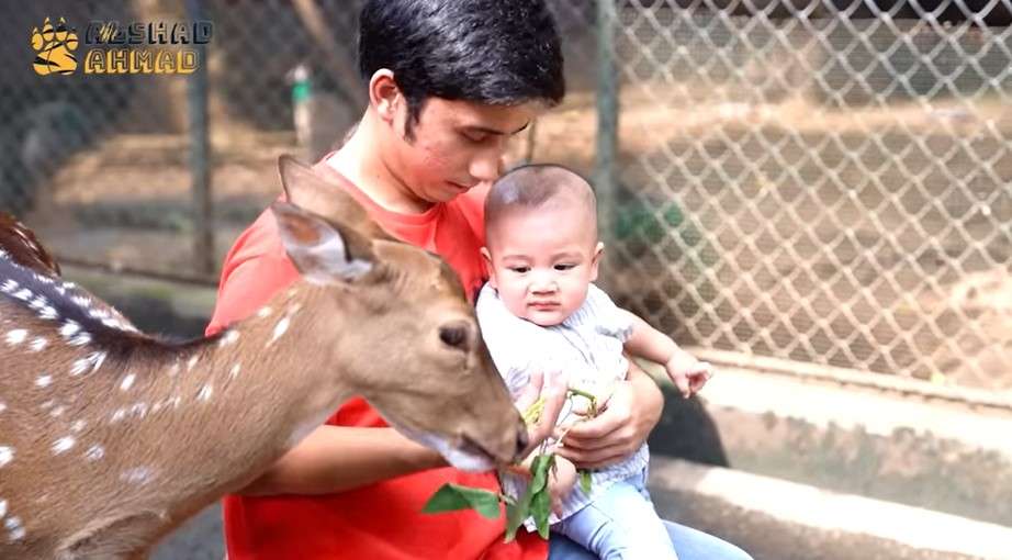 Rayyanza kasih makan Rusa