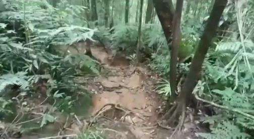 Kondisi medan tempat jatuhnya Sukhoi SSJ100 di Gunung Salak.