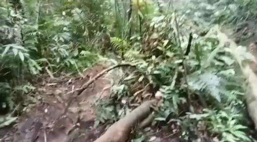 Kondisi medan tempat jatuhnya Sukhoi SSJ100 di Gunung Salak.