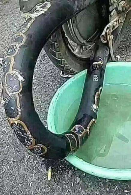 tak cukup sekali dilihat, benda-benda ini mirip ular.