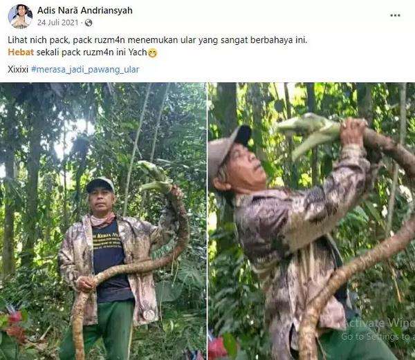 tak cukup sekali dilihat, benda-benda ini mirip ular.