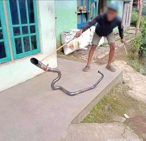 tak cukup sekali dilihat, benda-benda ini mirip ular.