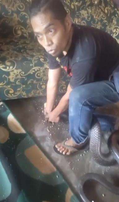 Gempar king kobra raksasa masuk rumah warga di Kaltara.