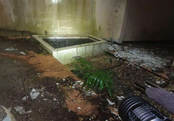 Area samping rumah Suzzanna yang terbengkalai di Semarang.