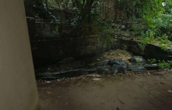 Area ruang tamu rumah Suzzanna yang terbengkalai di Semarang.