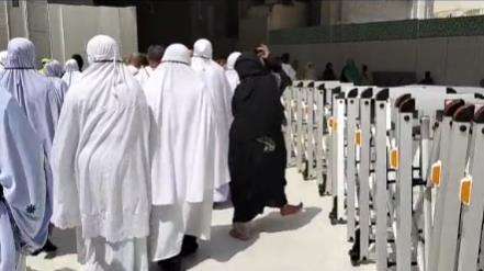 Jemaah bertingkah seperti kera saat ibadah di Mekah.