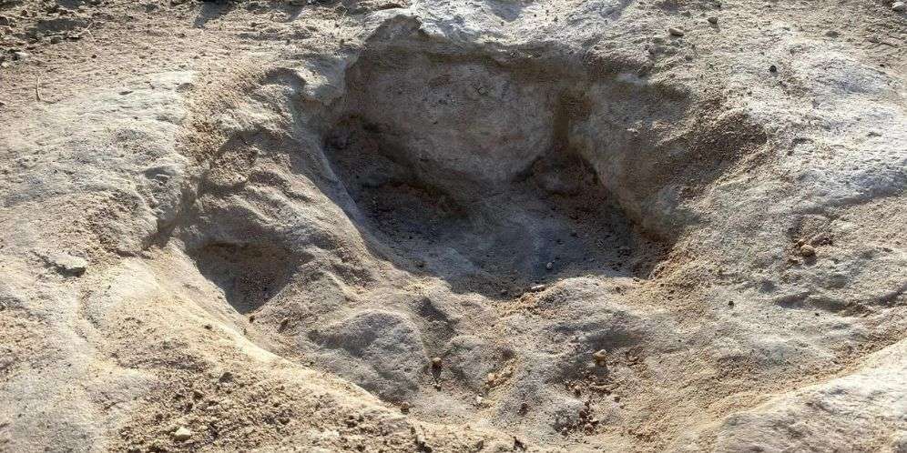 Jejak dinosaurus