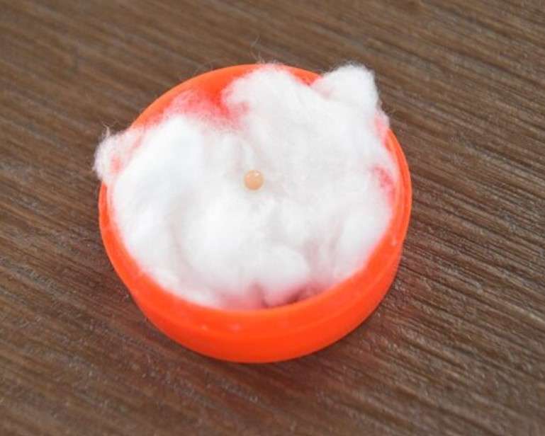 Mutiara langka