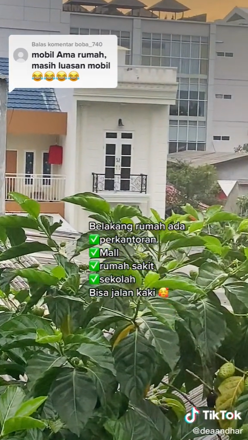 Viral Rumah Minimalis Berukuran 3 Meter di Jakarta,