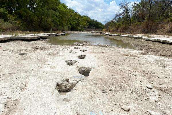 Jejak kaki dinosaurus di Sungai Paluxy.