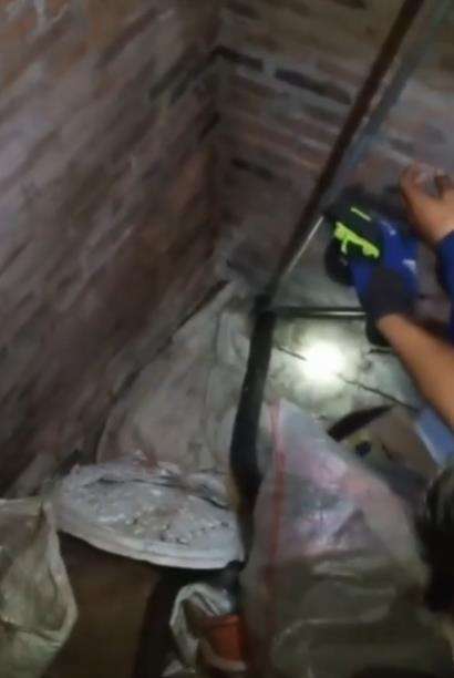 Penemuan ular kobra raksasa di rumah warga Bogor.
