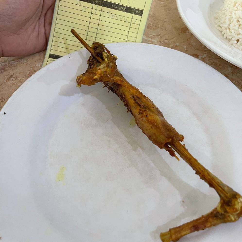 Ayam diet