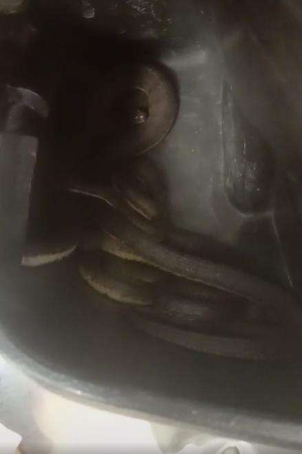 Penampakan ular di dalam dasbor motor matic.