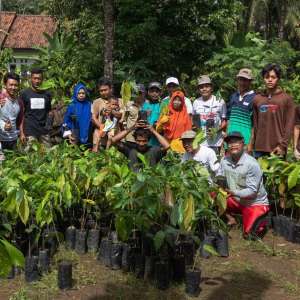 Petani kakao.