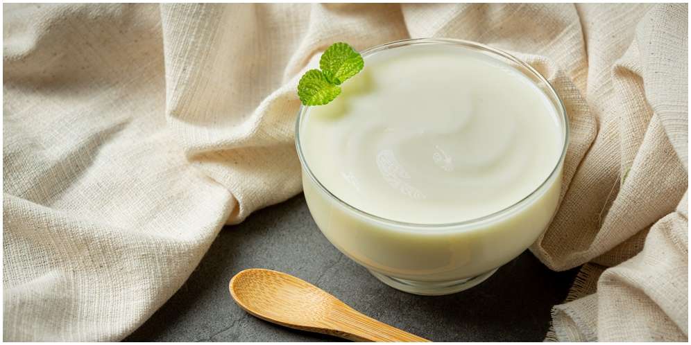 Manfaat Yoghurt untuk Kesehatan