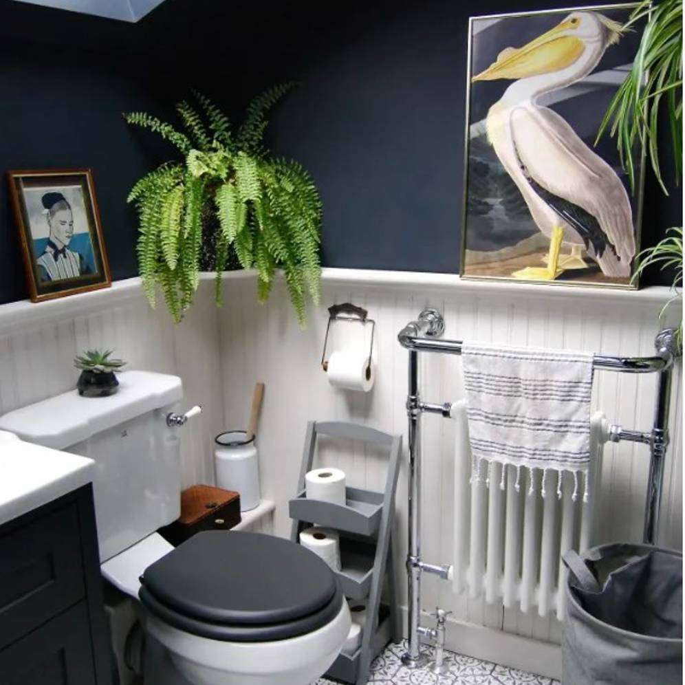 Biophilic