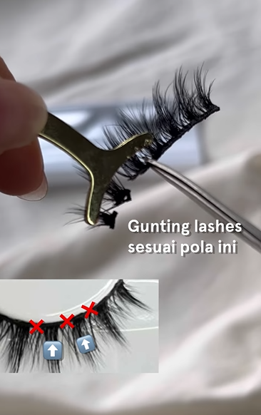 Tren Anime Lashes