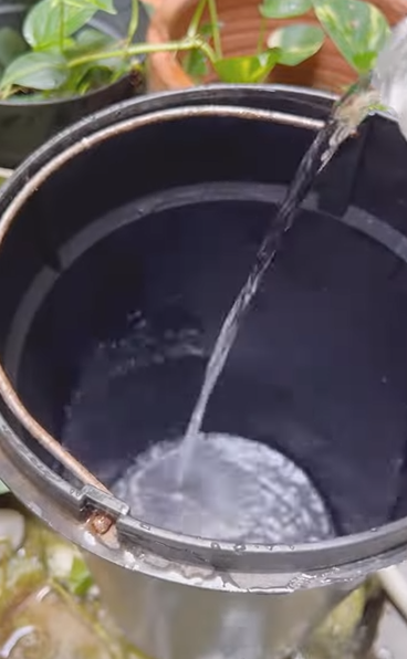 Membersihkan Tempat Sampah