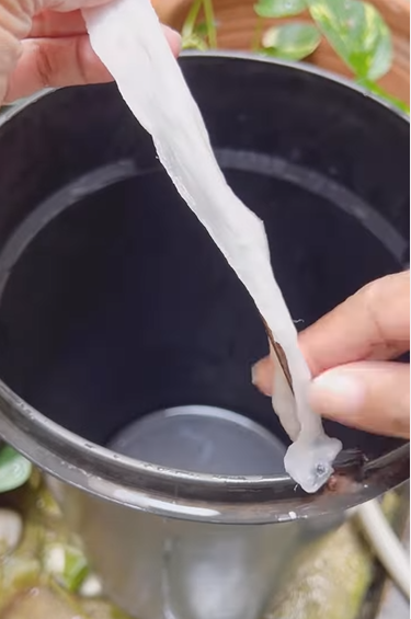 Membersihkan Tempat Sampah