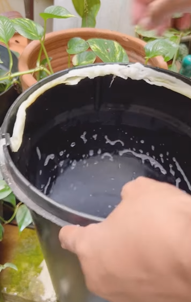 Membersihkan Tempat Sampah