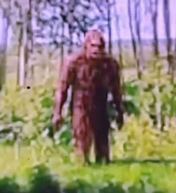 Google Maps ungkap penampakan sosok Bigfoot di Rusia.