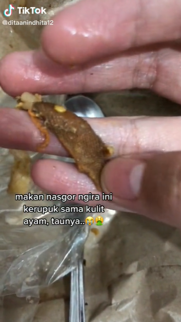 nasi goreng menjijikan
