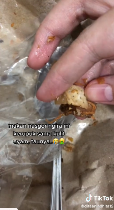 nasi goreng menjijikan