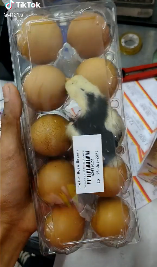 telur unik
