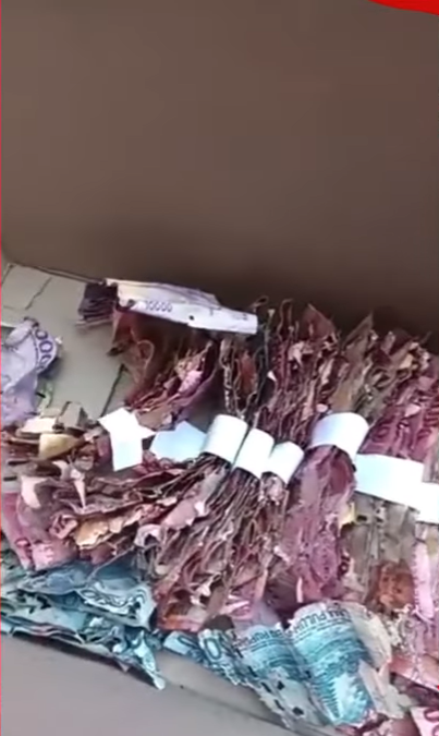 Sedih! Tabungan Haji Rp50 Juta Milik Penjaga Sekolah Rusak Dimakan Rayap